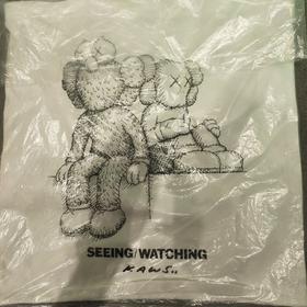 kaws seeing&watching-帆布包-DXW