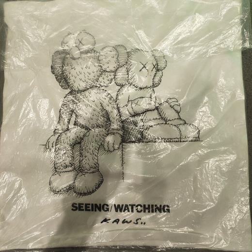 kaws seeing&watching-帆布包-DXW 商品图0