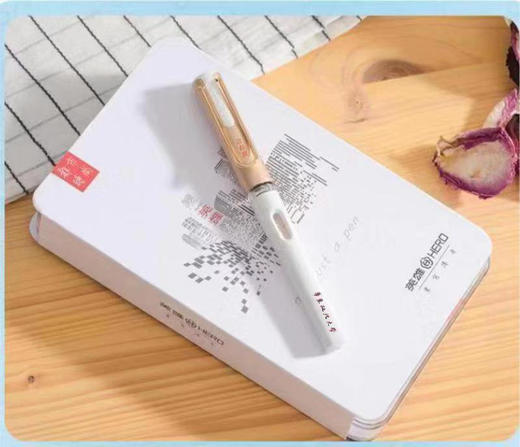 华政英雄钢笔 商品图1