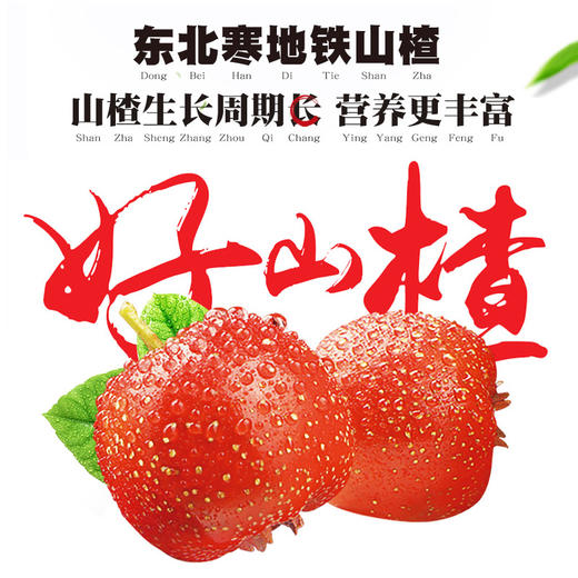 蜂蜜山楂条 500g/350g 法库 新鲜山楂棒 果丹皮 蜜饯 儿童 零食 一木山楂 包邮 商品图2