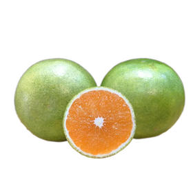 红美人脐橙 1500g/份