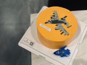 手绘战斗机奶油生日蛋糕
