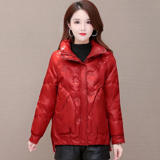 YWE-20W11白鸭绒气质时尚短款轻薄保暖羽绒服 商品图2