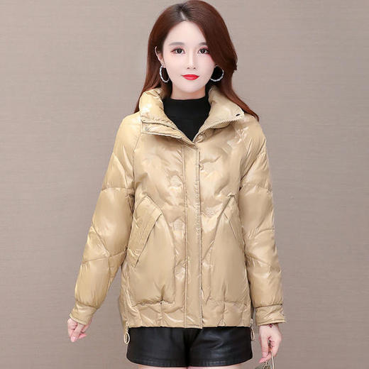 YWE-20W11白鸭绒气质时尚短款轻薄保暖羽绒服 商品图3