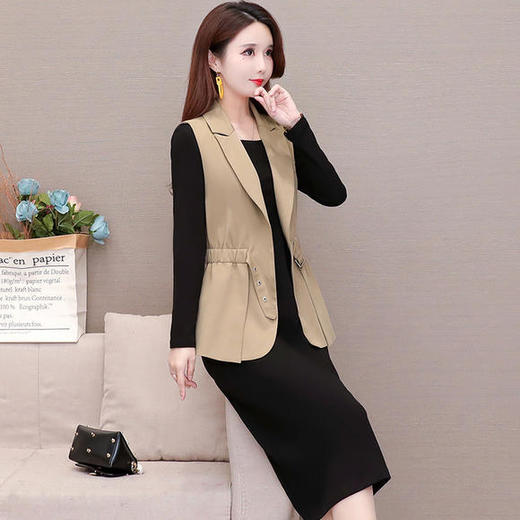 YW-YJY-Q8856时尚修身气质减龄马甲外套长袖连衣裙两件套 商品图1