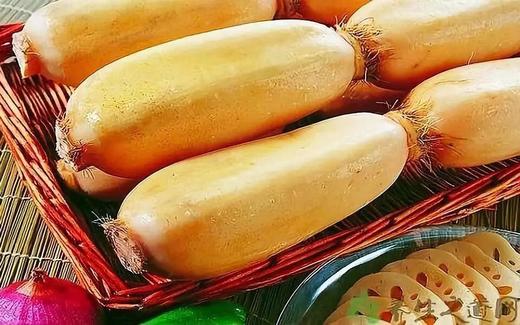 陶老洪河莲藕新鲜现挖 商品图0