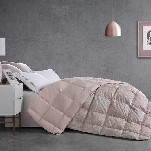 ESTEEM/宜庭凯诺拉狮头老白鹅可水洗鹅绒被两件套 商品图1