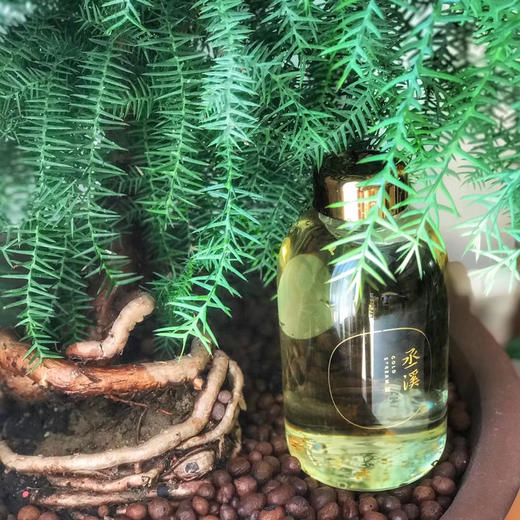 丞溪高硼玻璃随行杯，单拍不发 商品图5