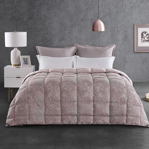 ESTEEM/宜庭凯诺拉狮头老白鹅可水洗鹅绒被两件套 商品图0