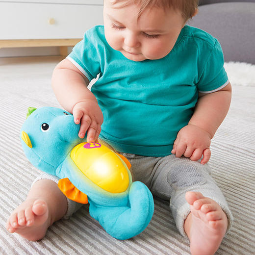 费雪安抚小海马 商品图1