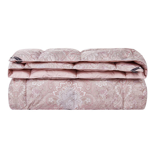 ESTEEM/宜庭凯诺拉狮头老白鹅可水洗鹅绒被两件套 商品图2