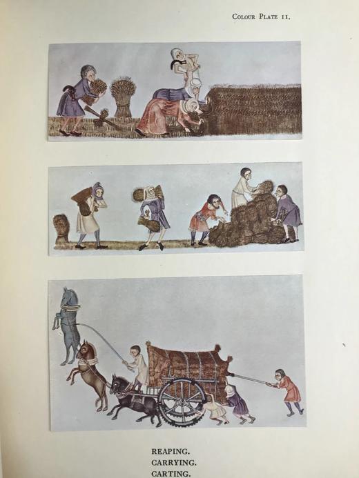 艺术，历史与文学图集 18幅彩色与100幅黑白插图 布面精装大16开 商品图9