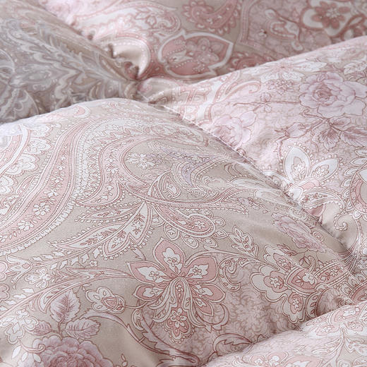 ESTEEM/宜庭凯诺拉狮头老白鹅可水洗鹅绒被两件套 商品图4