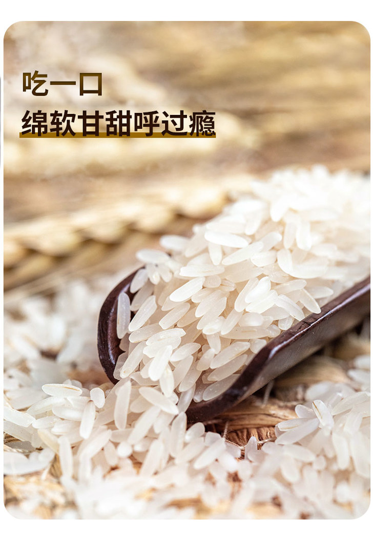 臻碧乡坪山丝苗米美香占2号25kg5kg