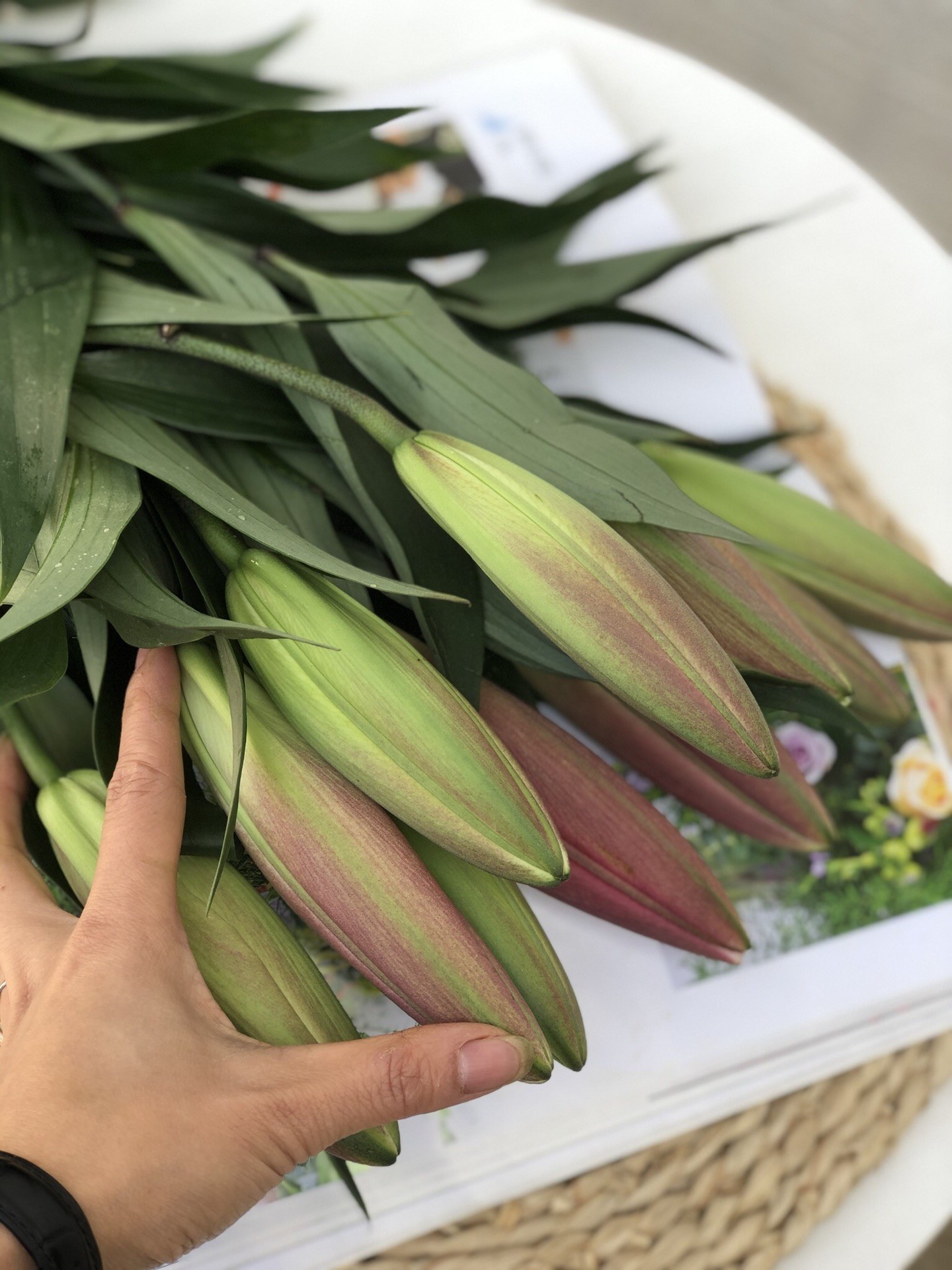 双头火石百合5枝10枝味道淡香冷链包邮