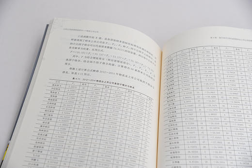 上市公司经营绩效研究 物流上市公司 李刚 企业经营管理书籍 物流上市公司经营绩效分析评价 提升物流上市公司经营绩效对策与建议 商品图3