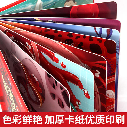 身体的秘密科普翻翻书全四册 商品图4