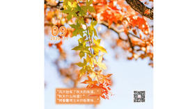 【花丘•心语】