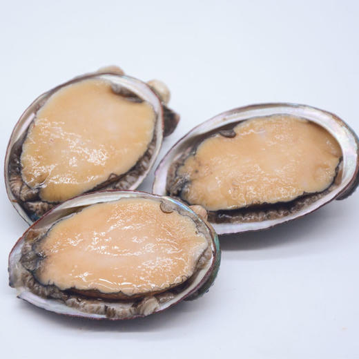 鲍鱼排骨汤 商品图2