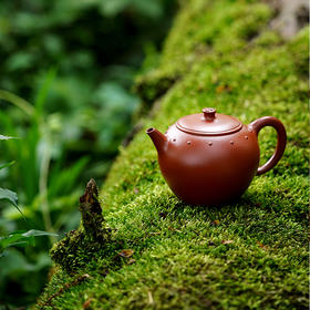 龙德堂陶艺 徐飞制 《虚怀》 原矿大红袍 240cc 库存咨询客服