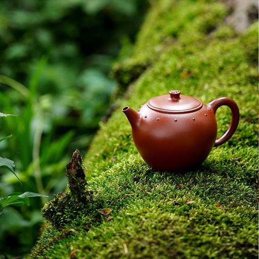 龙德堂陶艺 徐飞制 《虚怀》 原矿大红袍 240cc 库存咨询客服 商品图0