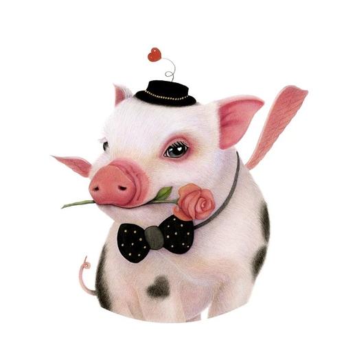 天使小猪/领结/99版 商品图0