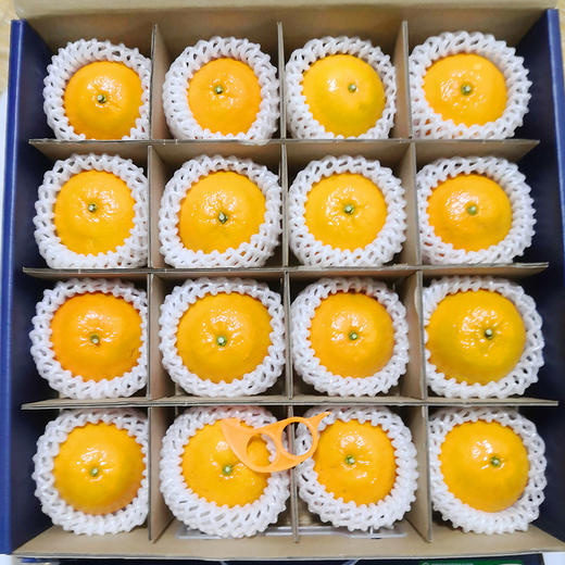 仁化丹霞贡柑 粒粒甄选，柑中“贵”族，国家地理标志保护农产品，正式发售！ 商品图3