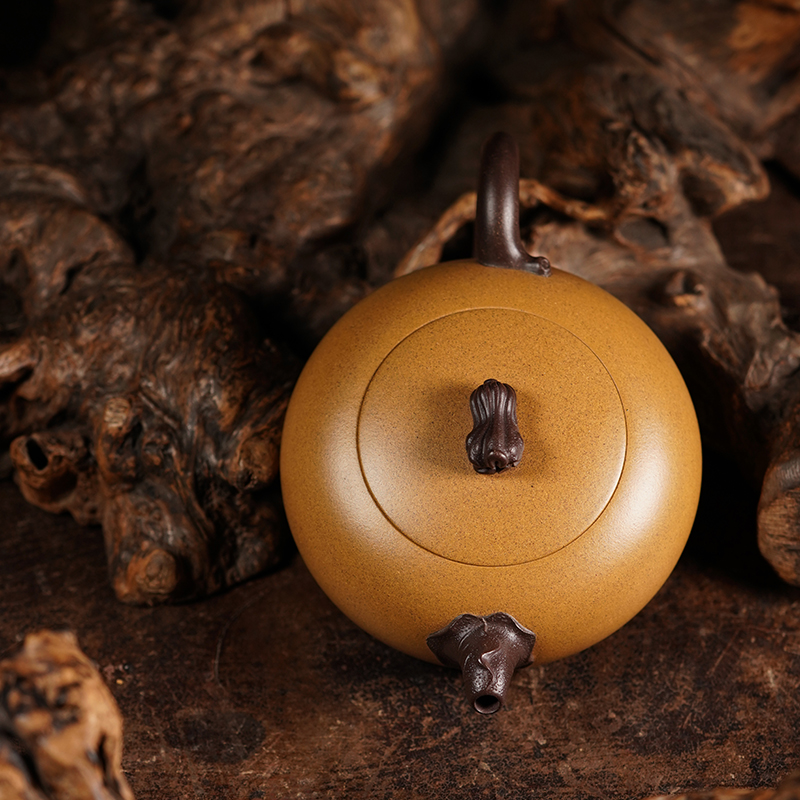 龙德堂陶艺 徐飞制 《升官发财》 原矿黄金段 300cc(库存请咨询客服)