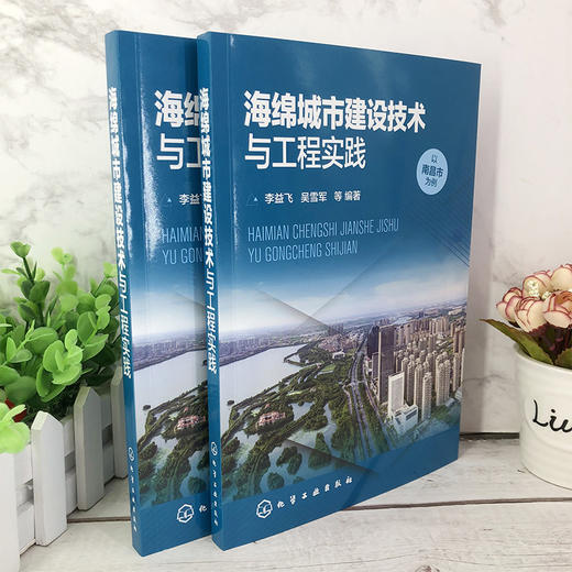 海绵城市建设技术与工程实践 李益飞 城市建设规划设计书籍 城市水环境治理的实践经验 海绵城市建造商和运营参考 商品图2