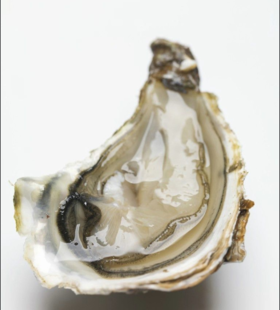  关于生蚝，你都了解了吗？ 