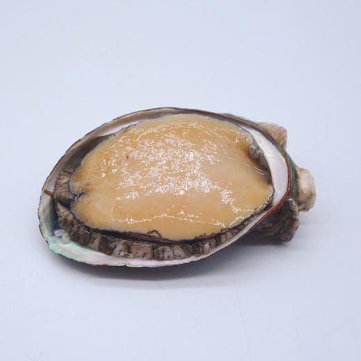 鲍鱼排骨汤 商品图1