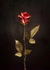 玫瑰花/铜/多色 商品缩略图0