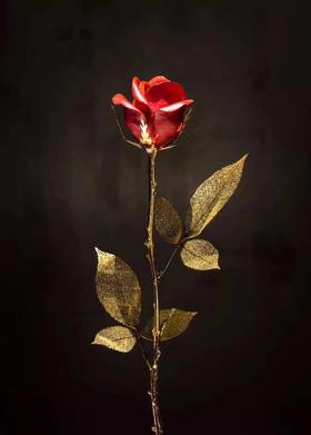 玫瑰花/铜/多色