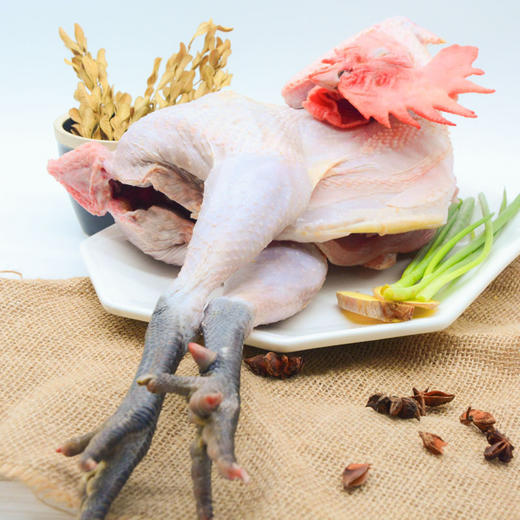 虫草花土鸡汤 商品图1