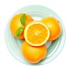 赣南脐橙带叶橙500g 商品缩略图0