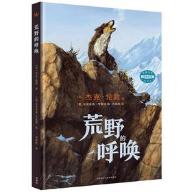 荒野的呼唤（奇想国传世名著美绘本）