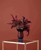 大都会天使花瓶-佛罗伦萨 商品缩略图0