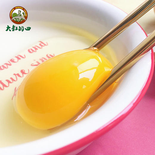 散养鸡蛋 商品图2