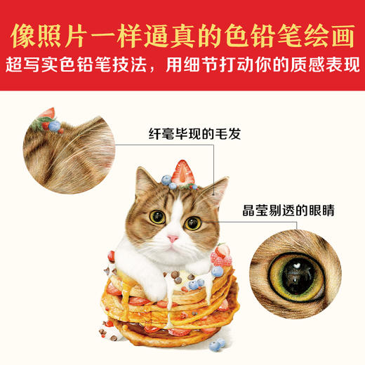 画一只喵来吃：40种萌宠配美食的色铅笔教程（像照片一样逼真的色铅笔猫猫和美食！学画超写实色铅笔技法，这一本就满足！） 商品图4