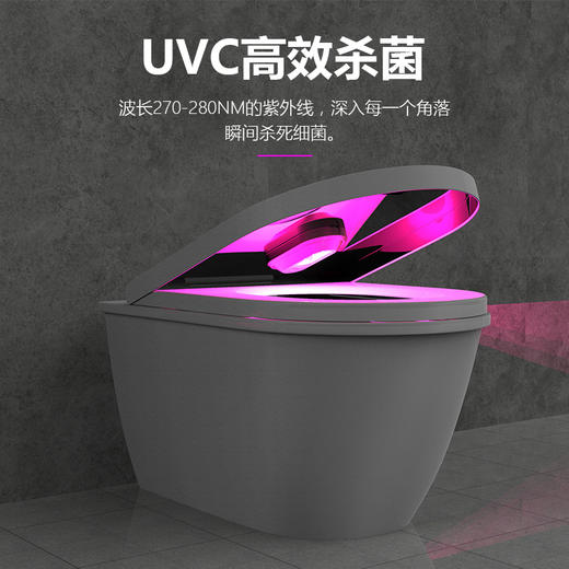 马桶除菌剂 商品图1