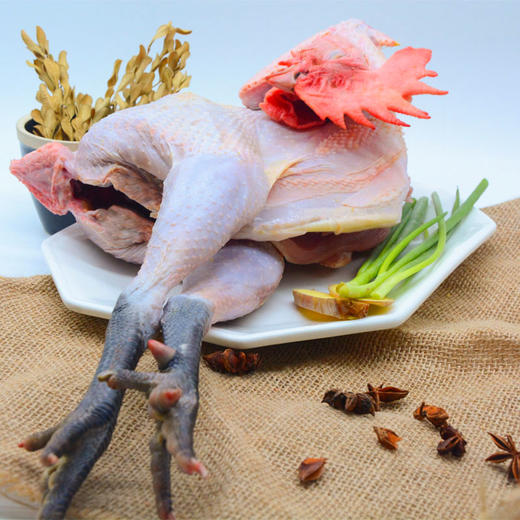 野生红菇土鸡汤 商品图1