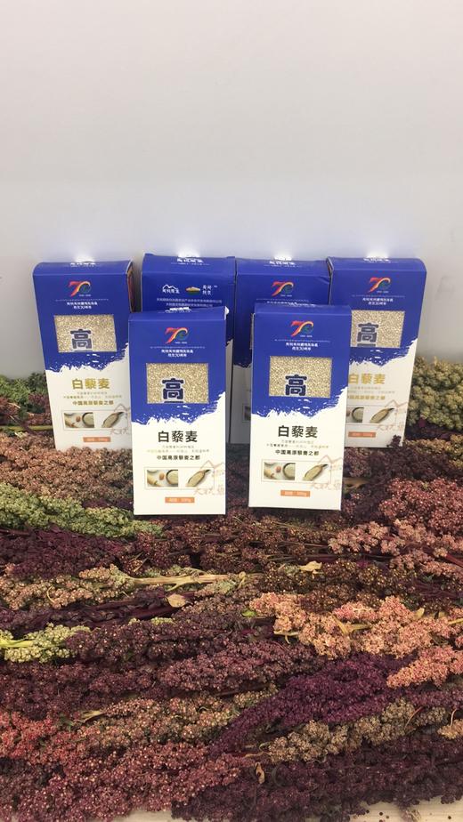 TZNT-白色藜麦米500g/盒*【大宗供货请联系客服】 商品图2