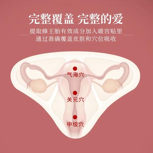 御恒堂养巢贴，长效热敷，温宫暖巢，开袋即用，亲肤无敏 商品图2