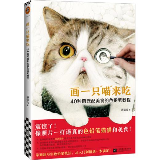 画一只喵来吃：40种萌宠配美食的色铅笔教程（像照片一样逼真的色铅笔猫猫和美食！学画超写实色铅笔技法，这一本就满足！） 商品图0