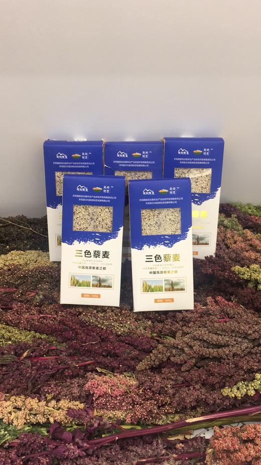 TZNT-白色藜麦米500g/盒*【大宗供货请联系客服】 商品图1