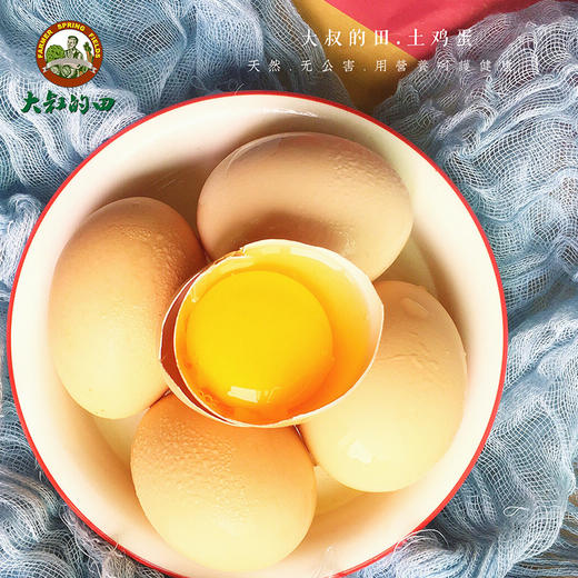 散养鸡蛋 商品图4