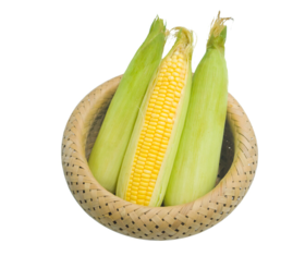 【时令蔬菜】玉米300g/根±20g