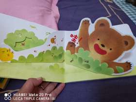 《和小鸡球球一起玩》：小机关很惊喜