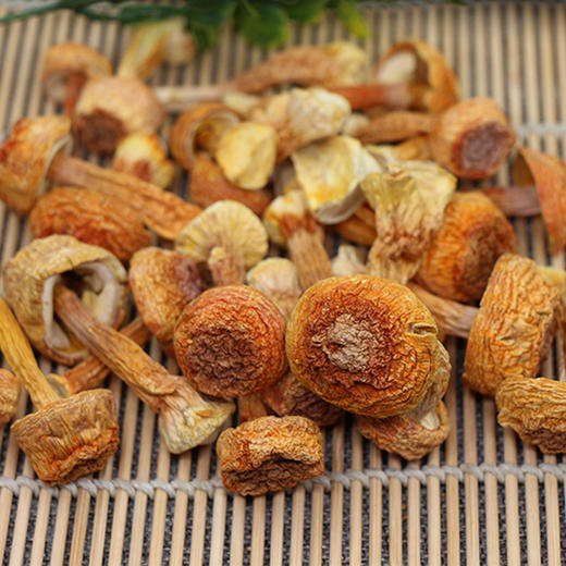 十方田姬松茸215克 商品图3