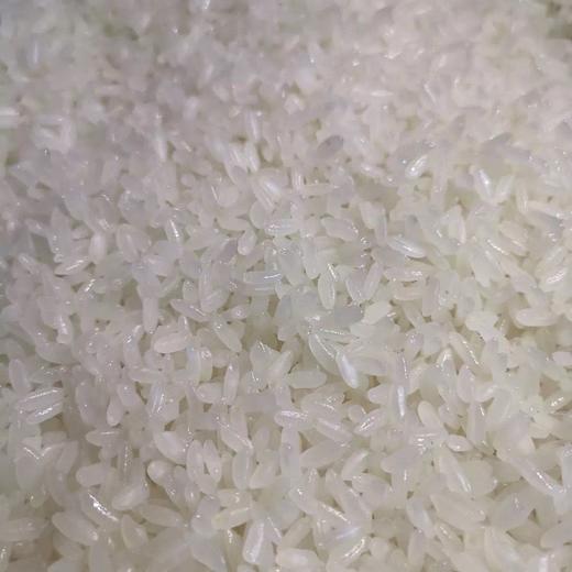 生态琥珀软香米1000g｜云南大理 商品图0